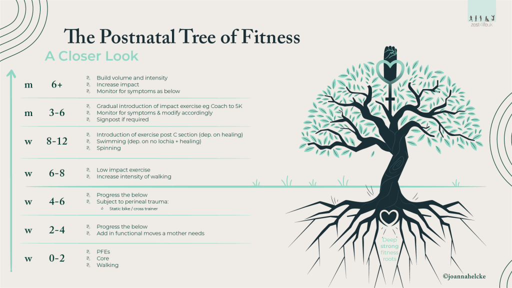 A framework for a postnatal return to exercise - the Postnatal tree of Fitness