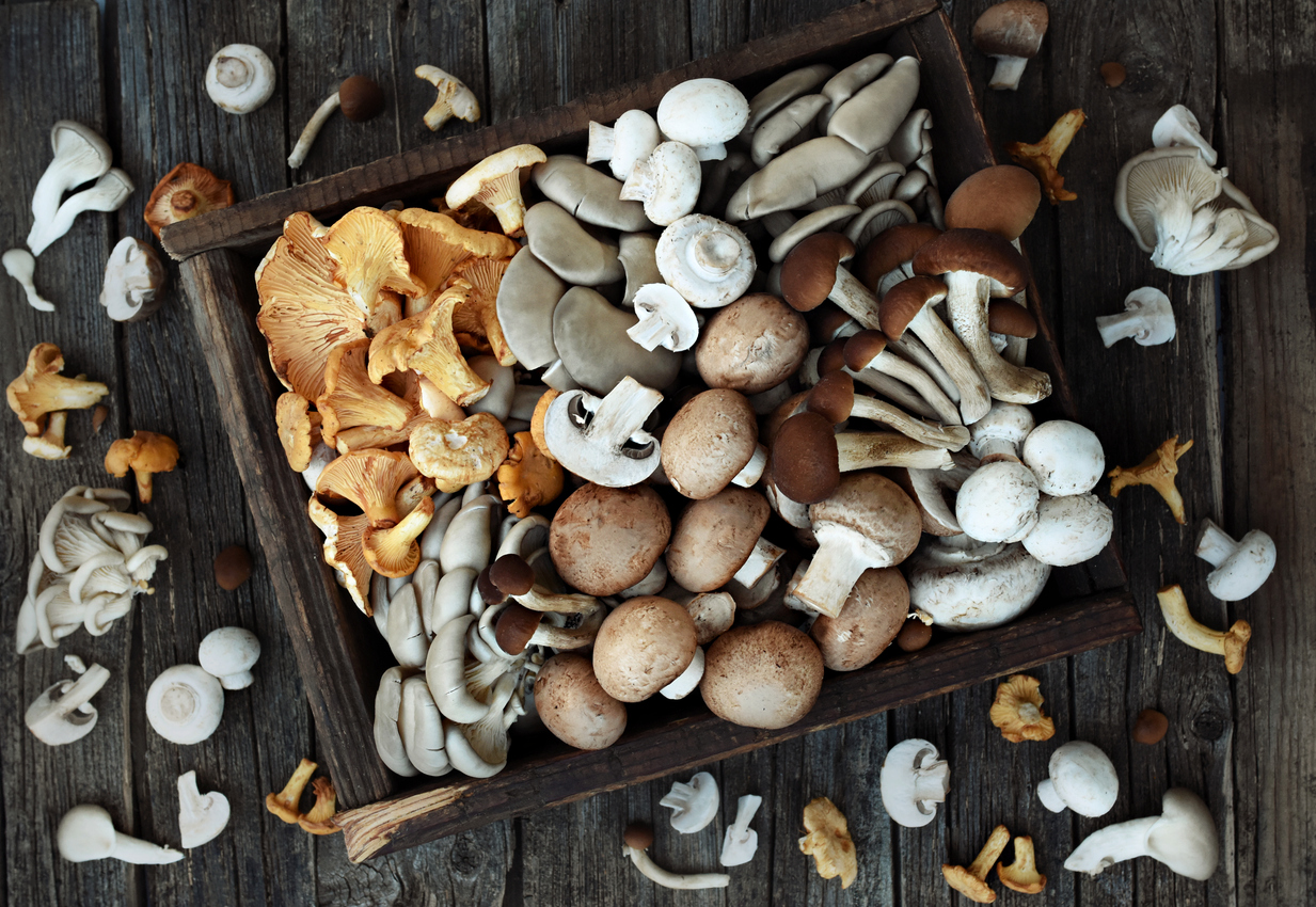 Fungi facts: Why mushrooms deserve a spot on your plate